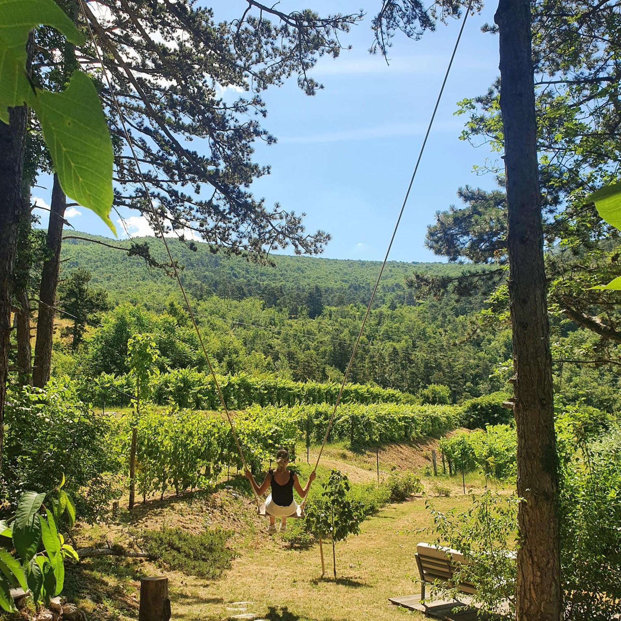 Theodosius Forest Village - Glamping In Vipava Valley المظهر الخارجي الصورة